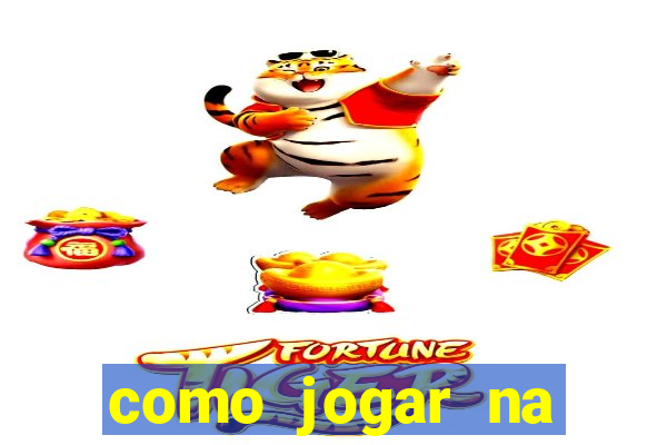 como jogar na lotinha do jogo do bicho